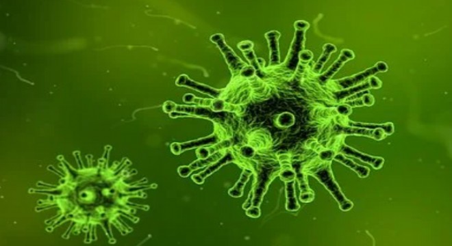 Korana virüs salgınında ölenlerin sayısı 8 bin 553`e ulaştı